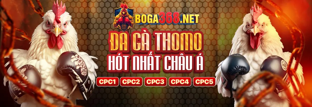 Cá cược thể thao Cwin999